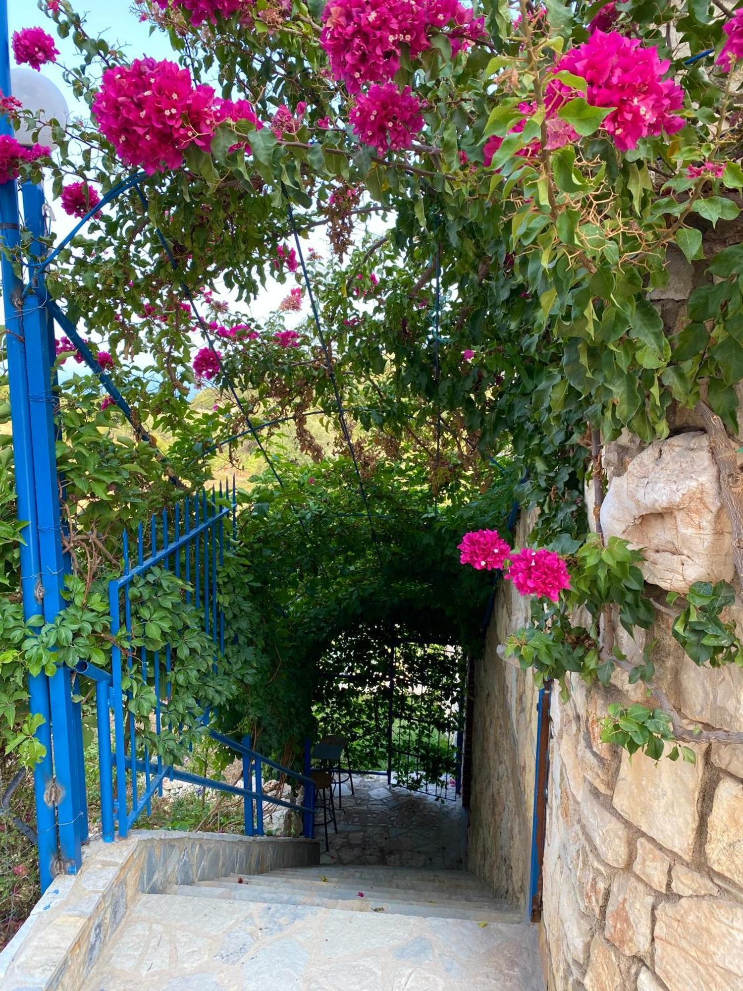 Itaka Summer Rooms Lukova מראה חיצוני תמונה